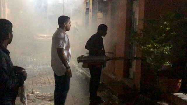 development-insights